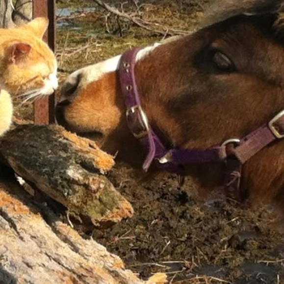 Meet your Posher, Laura - Picture 1 of 1